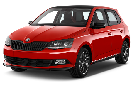 Plase portbagaj Skoda Fabia
