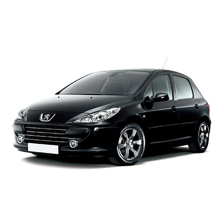 Covorase auto tip tavita Peugeot 307 208 II fabricatie 06.2019 - prezent, caroserie hatchback