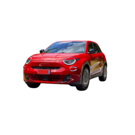 Tavite portbagaj Fiat 600