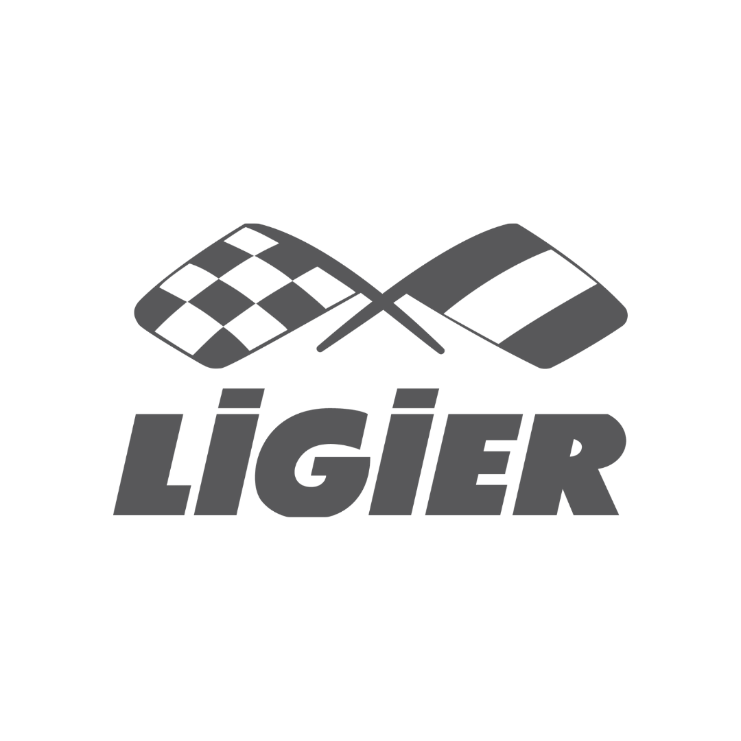 Covorase auto tip tavita Ligier