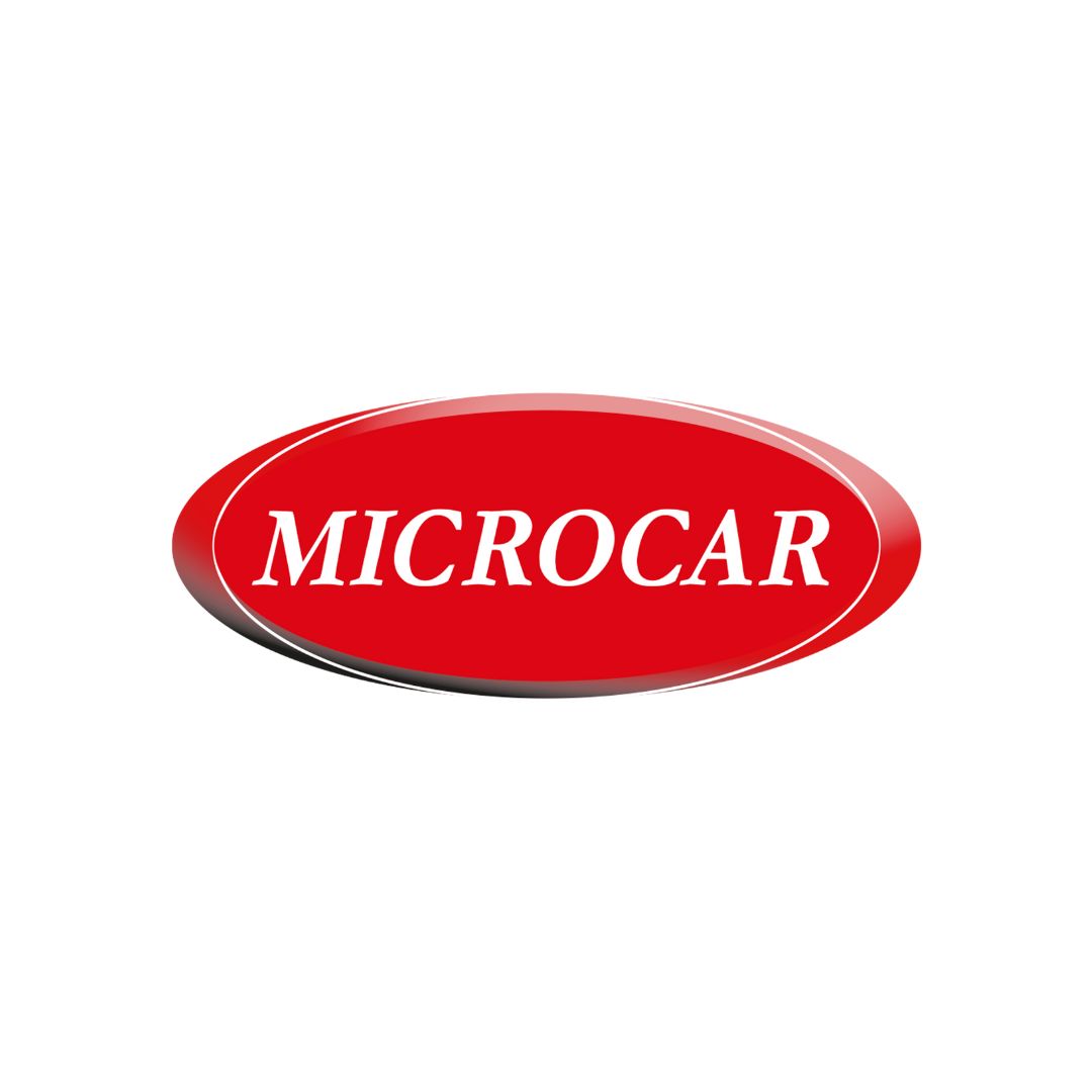 Covorase auto tip tavita Microcar