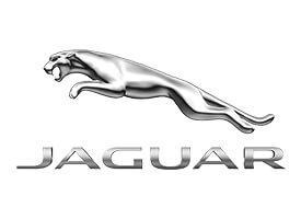 Covorase auto tip tavita Jaguar
